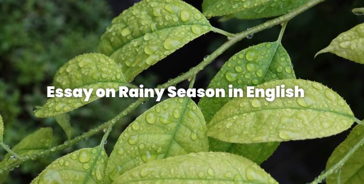 An Essay on Rainy Season in English