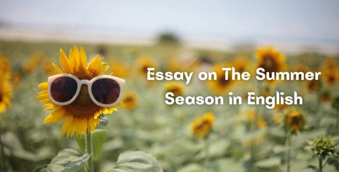 Essay on The Summer Season